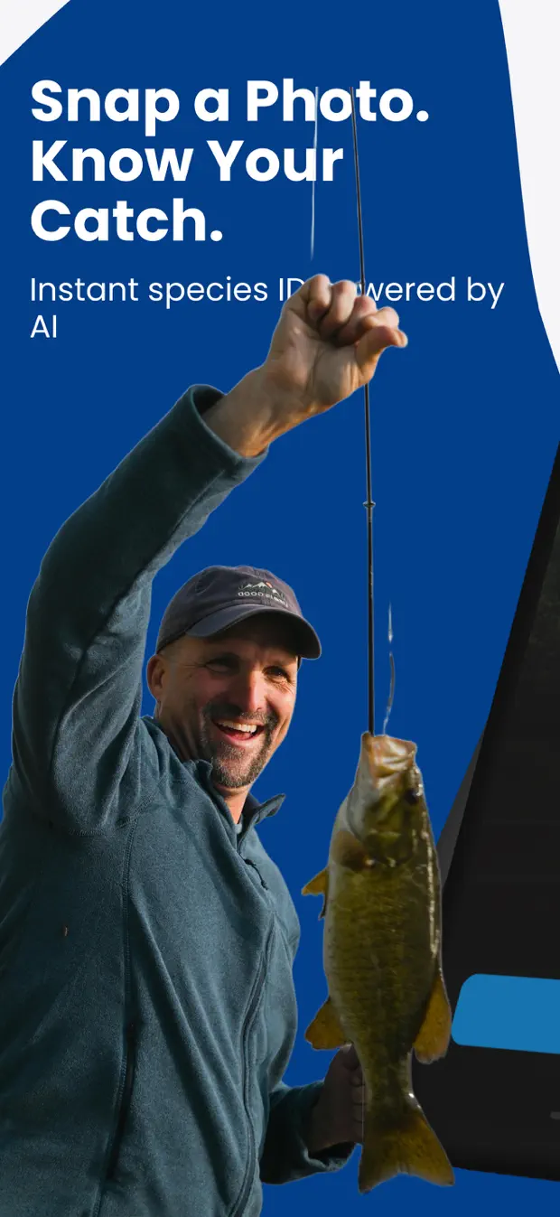 Fishify screenshot