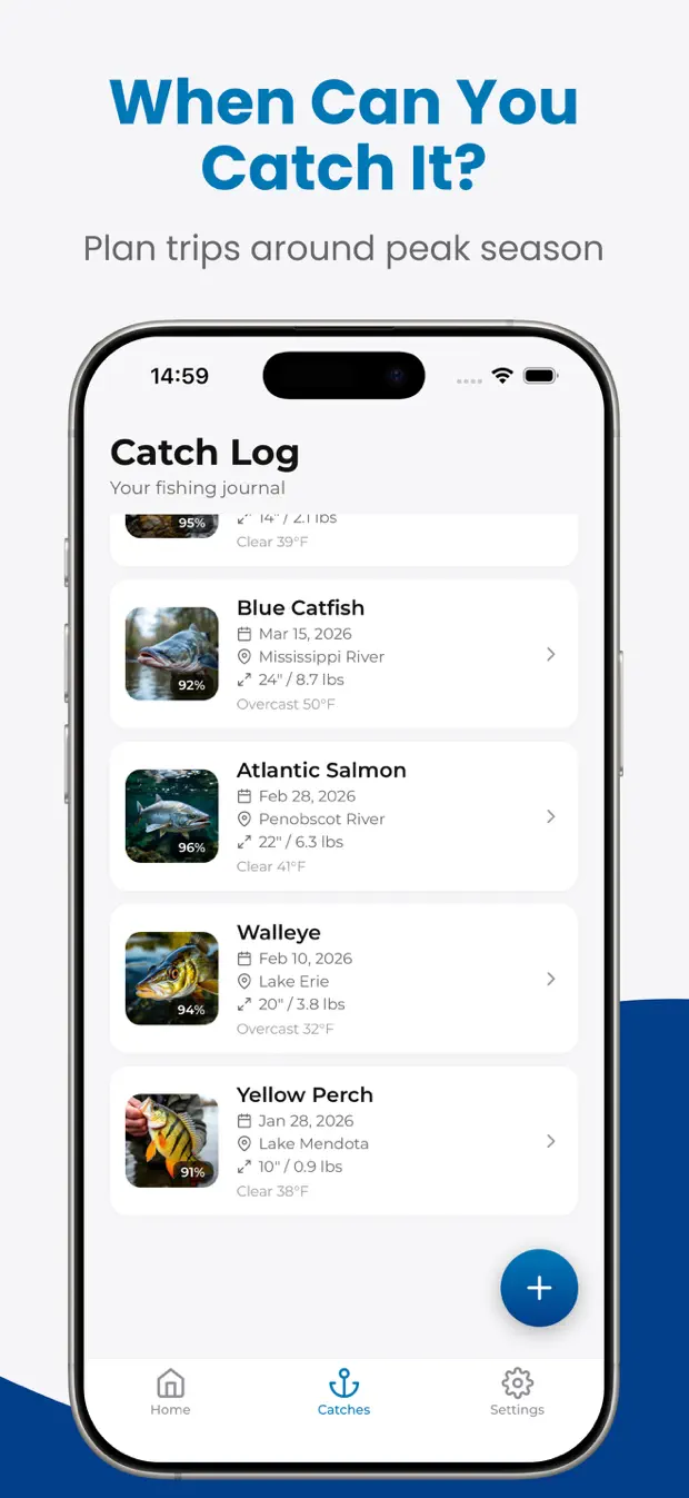 Fishify screenshot